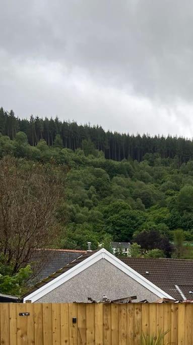 Brynhyfryd Holiday home Aberaman